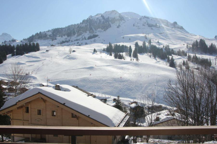 Location de vacances - Le Grand-Bornand - Rhône-Alpes - Résidence Les Roches Fleuries 1 - Image #0