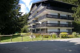 Location de vacances - Chamonix-Mont-Blanc - Rhône-Alpes - Résidence Androsace - Image #45