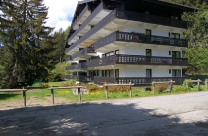 Location de vacances - Chamonix-Mont-Blanc - Rhône-Alpes - Résidence Androsace - Image #2