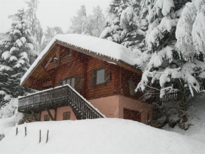 Chalet le Nol - La Bresse