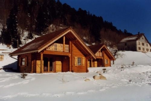 Chalet Le Ranska - La Bresse