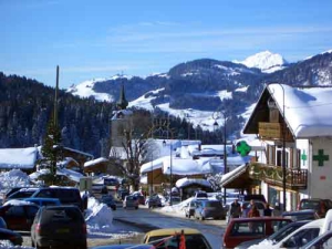 Résidence L'Edelweiss - Notre-Dame-de-Bellecombe