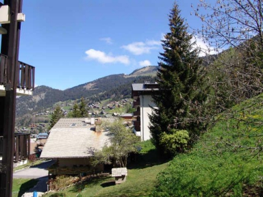 RESIDENCE LES RHODODENDRONS - Châtel