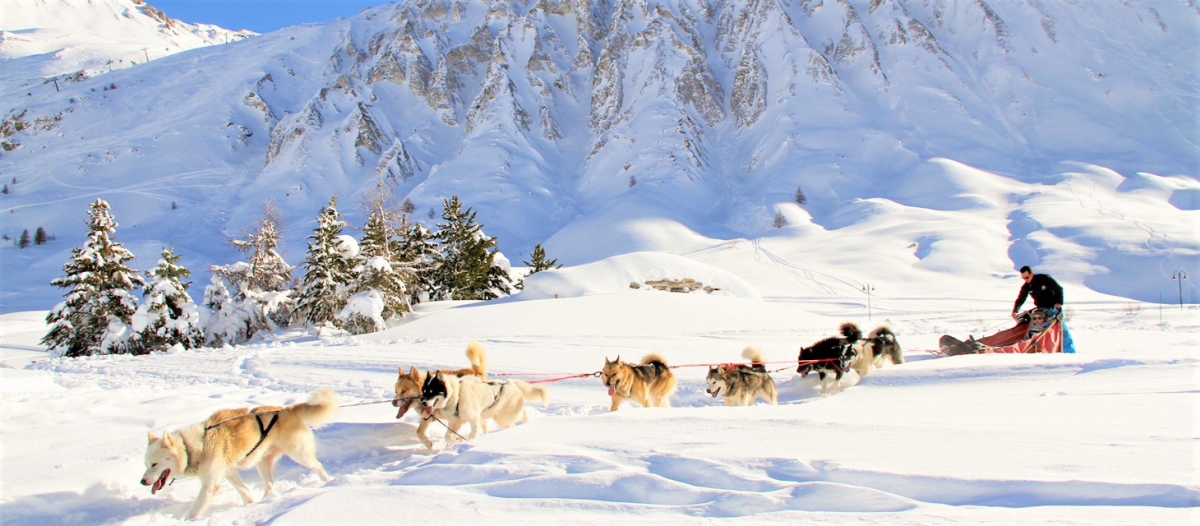 Top 10 des activités à la montagne !