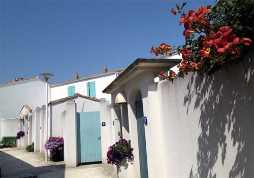 Location - La Flotte - Poitou-Charentes - Hôtel Résidence Odalys Les Hauts de Cocraud Location - La Flotte - Poitou-Charentes - Hôtel Résidence Odalys Les Hauts de Cocraud