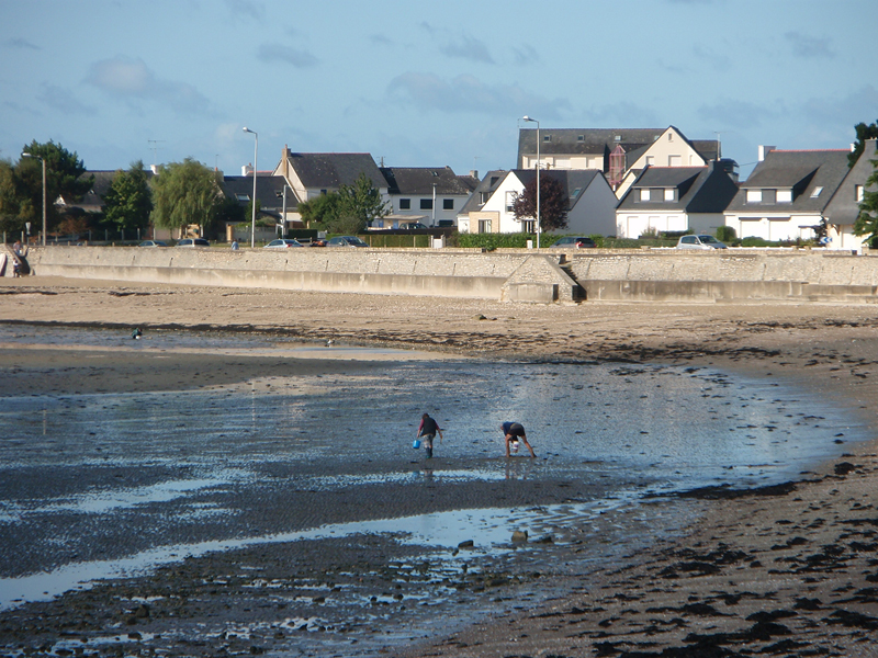 Location - Damgan - Bretagne - Le Cosquer Location - Damgan - Bretagne - Le Cosquer