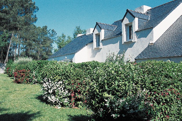 Location - Ploemel - Bretagne - Résidence Maeva Les Cottages du Golf Location - Ploemel - Bretagne - Résidence Maeva Les Cottages du Golf