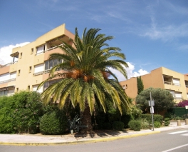 Location - Résidence L'Argentière Plage - La Londe-les-Maures - Provence-Alpes-Côte d'Azur - France Location - Résidence L'Argentière Plage - La Londe-les-Maures - Provence-Alpes-Côte d'Azur - France