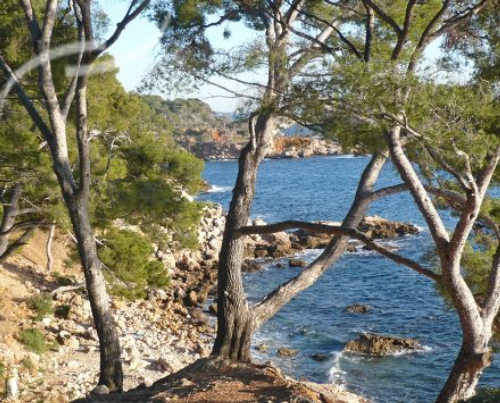 Location vacances Bandol - 87 - campings