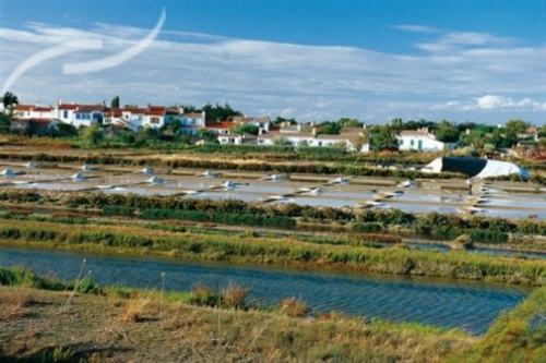 Location vacances Noirmoutier-en-l'Île - 29 - campings