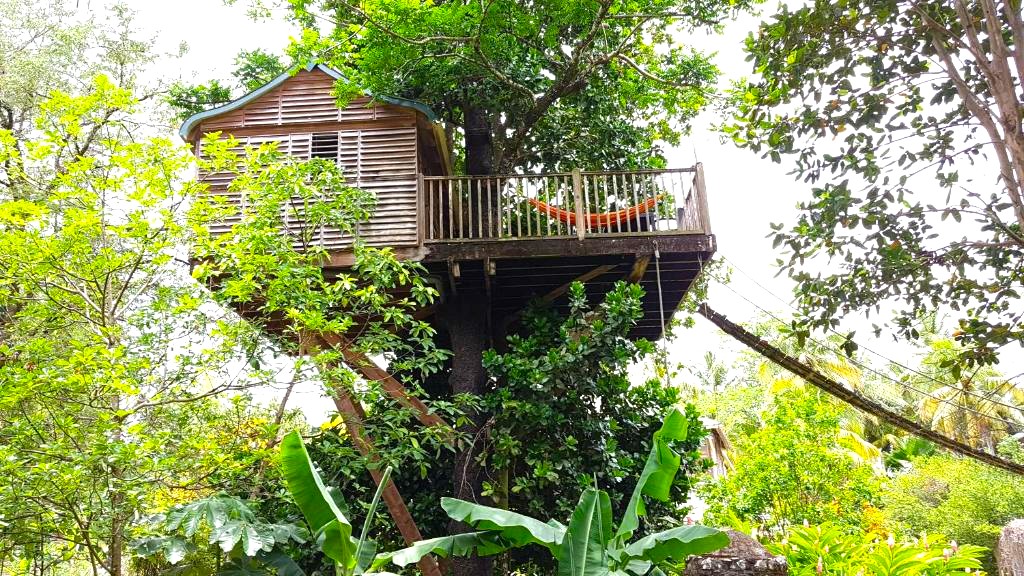 Martinique - Le Domaine de Robinson 192€ / nuit pour 2 pers, Cabane dans les arbres | 983